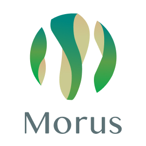 Morus株式会社 ロゴ